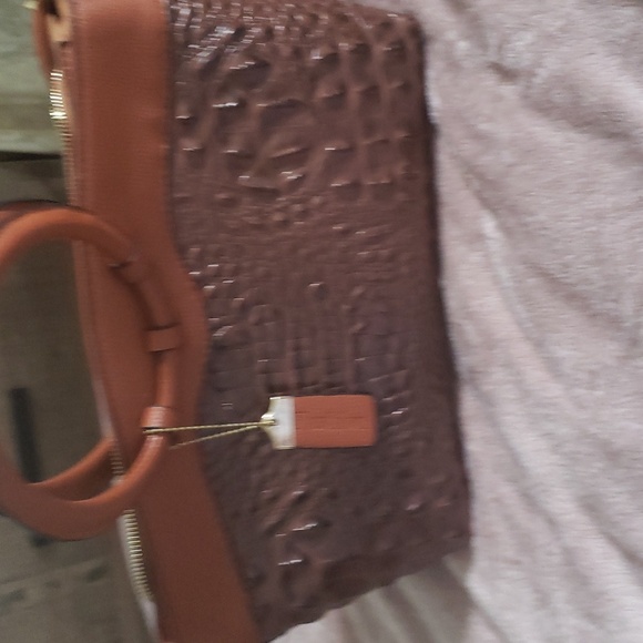 Fashion Alligator Purse from South America - Picture 6 of 7